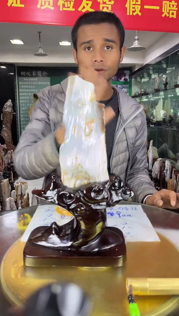 未镶嵌珠宝奇石硅化玉缅甸天然树化玉精品居家摆件