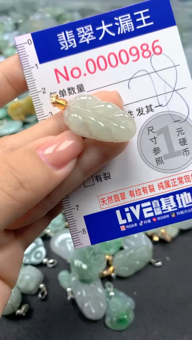 颈饰未镶嵌翡翠986