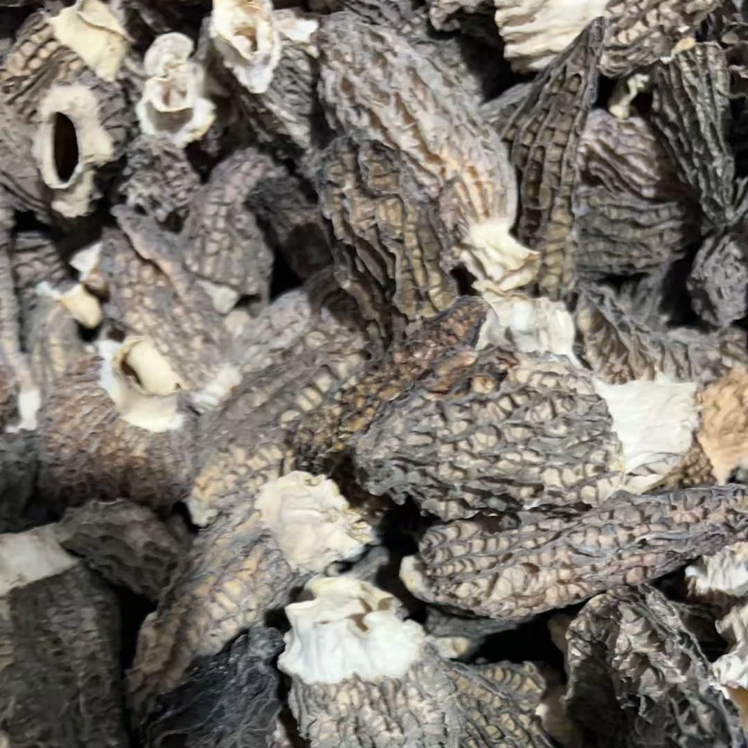 10330干羊肚菌丑菇有大有小介意勿拍