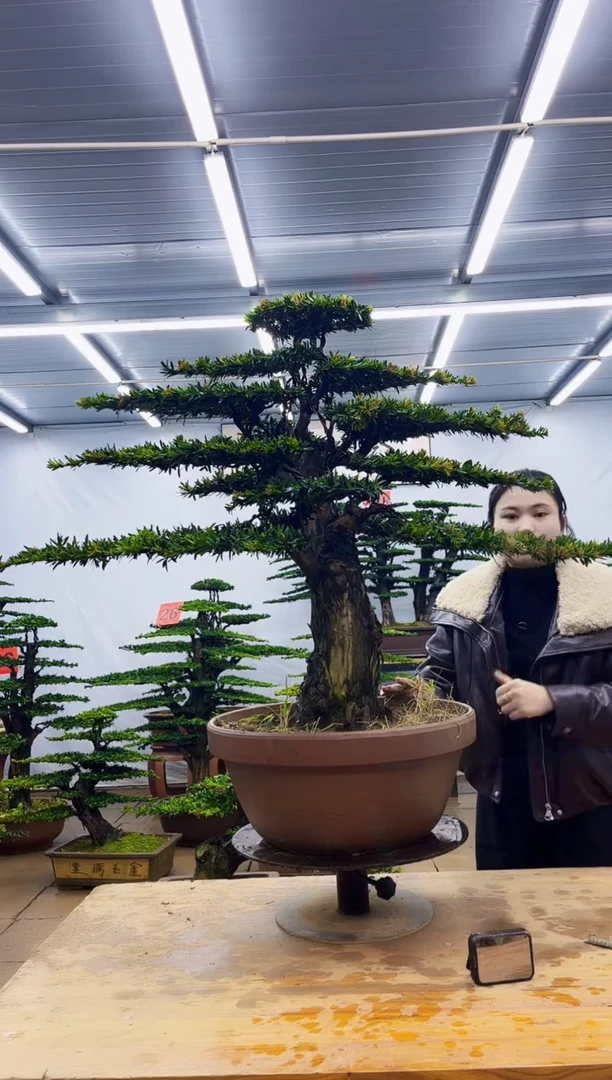 无花朵M****?一物一拍，所见即所得