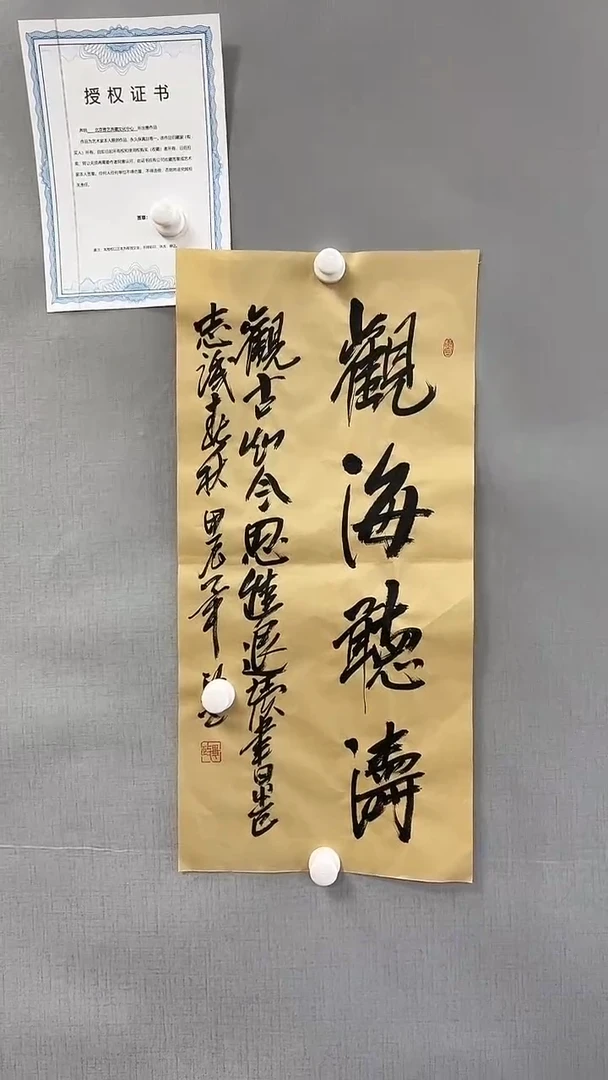 【闪购商品】书法雅艺典藏文化书法