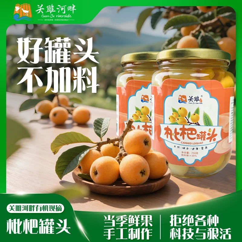 【关雎河畔】糖水枇杷罐头750G*2罐水果罐头营养大瓶