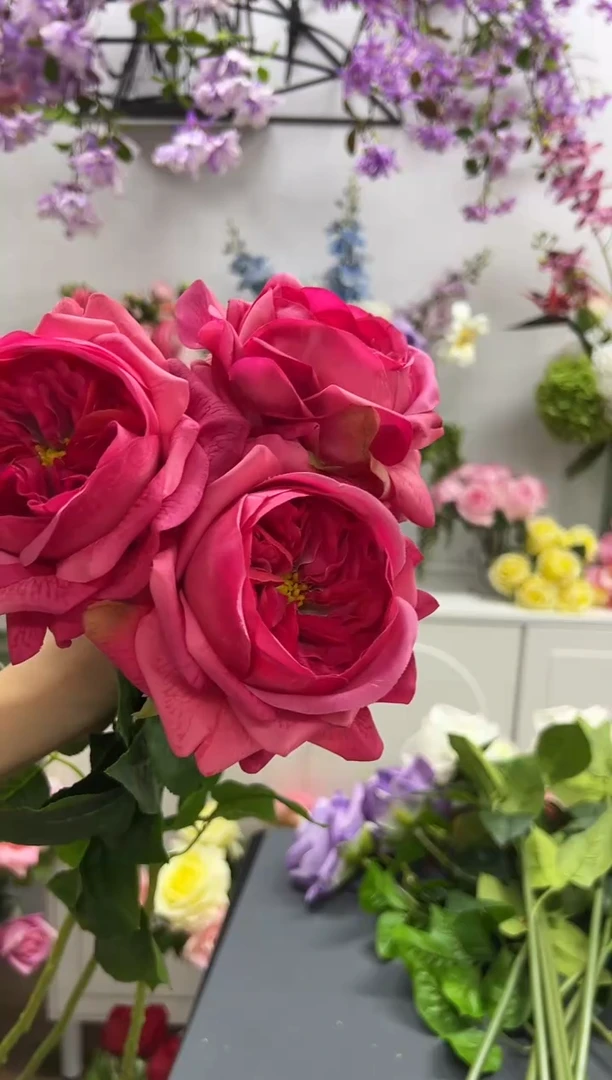3枝玫红手感保湿朱丽叶