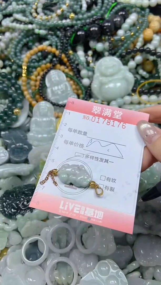 颈饰未镶嵌翡翠闪购0178176多样性发其一