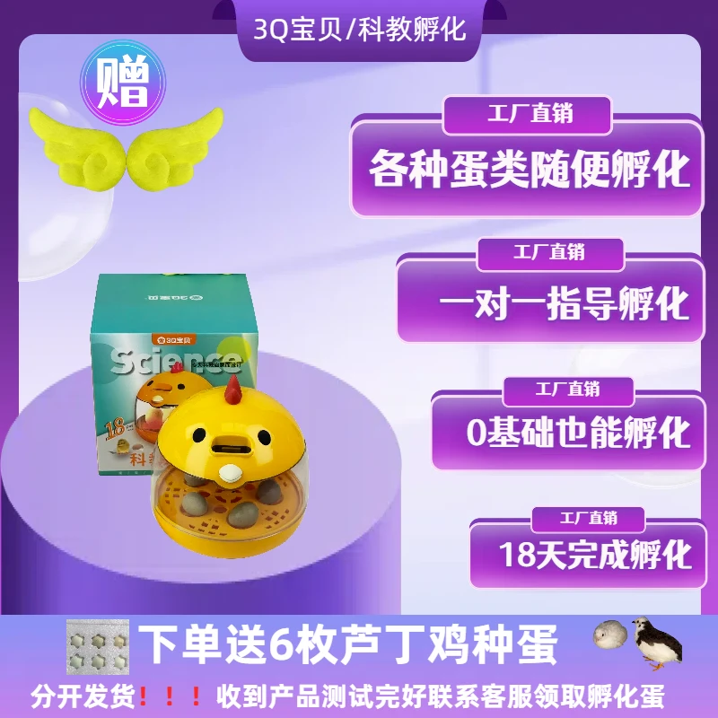 【直播福利】送种蛋智能全自动小型芦丁鸡鹦鹉鹌鹑孵化器科教孵蛋器