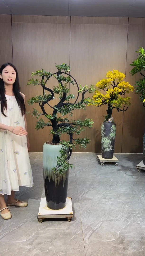 无花朵元****边小叶紫檀