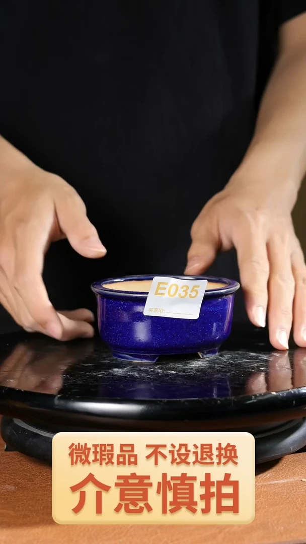 掌中宝         035