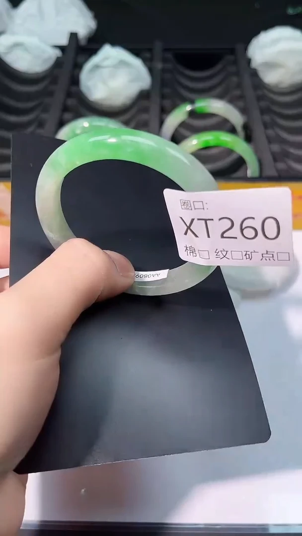 瑞丽云景友珠宝臻选阁zol翠宝XT260