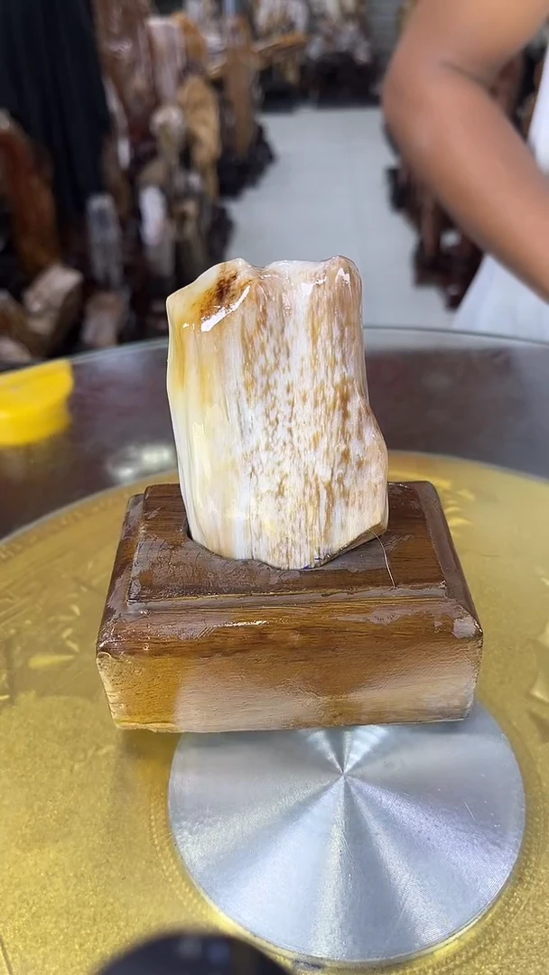 硅化玉珠宝奇石未镶嵌缅甸天然树化玉