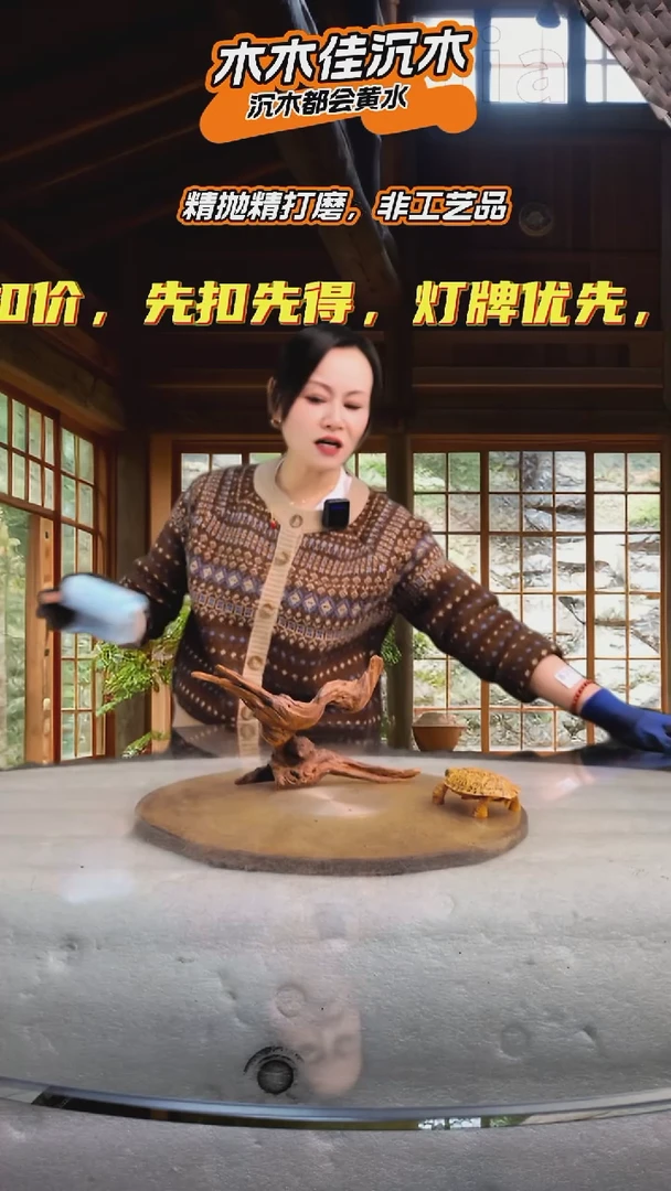 女***心木木佳沉木鱼缸造景-831