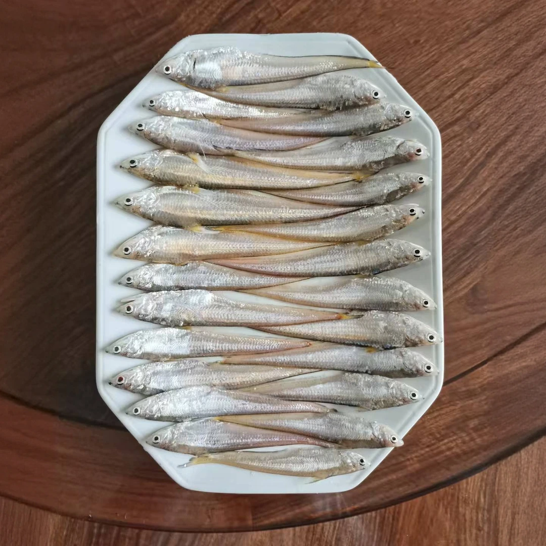 无污染沙琅江袂花江直发优质鲜刀鱼北佳鱼马齐鱼，烘干发货