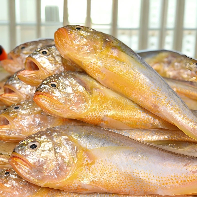 梅童鱼黄皮头特级正宗大头宝净重无冰当季冰鲜深海新鲜顺丰邮寄