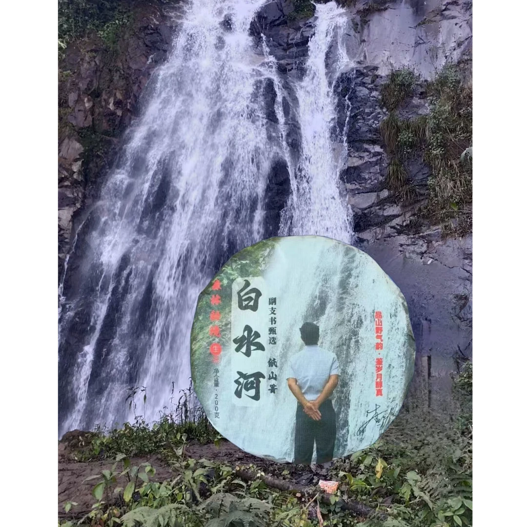 纸山箐【副支书严选】纸山箐精品（白水河）2025年春    散茶