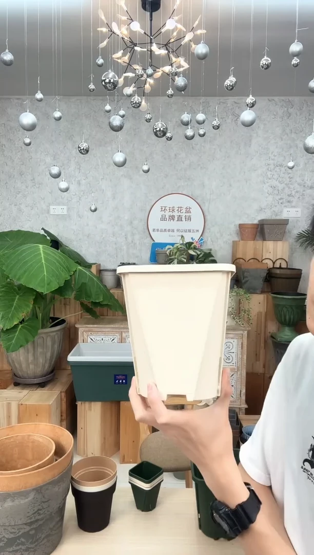 大号+中号控根盆各1只带托 都是米兰黄