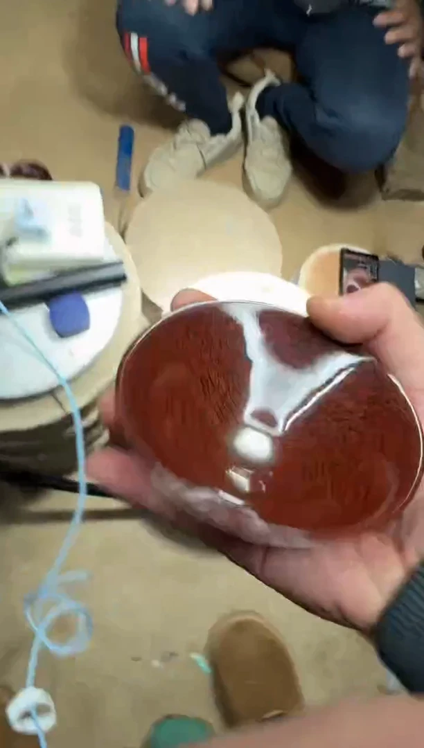 茶盏谢长旺建盏20