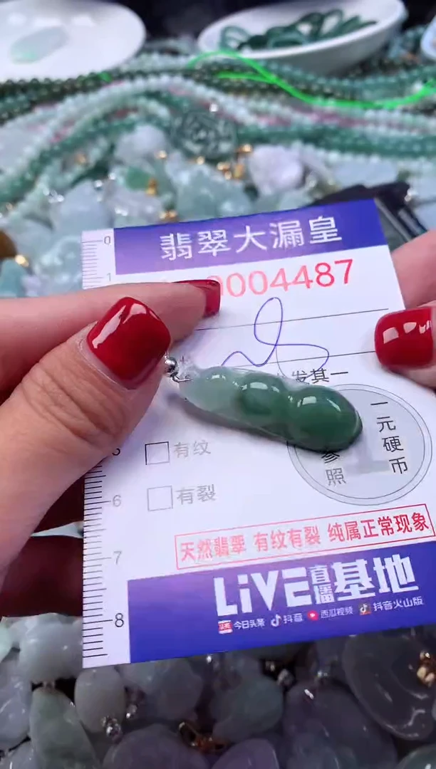 颈饰未镶嵌翡翠4487