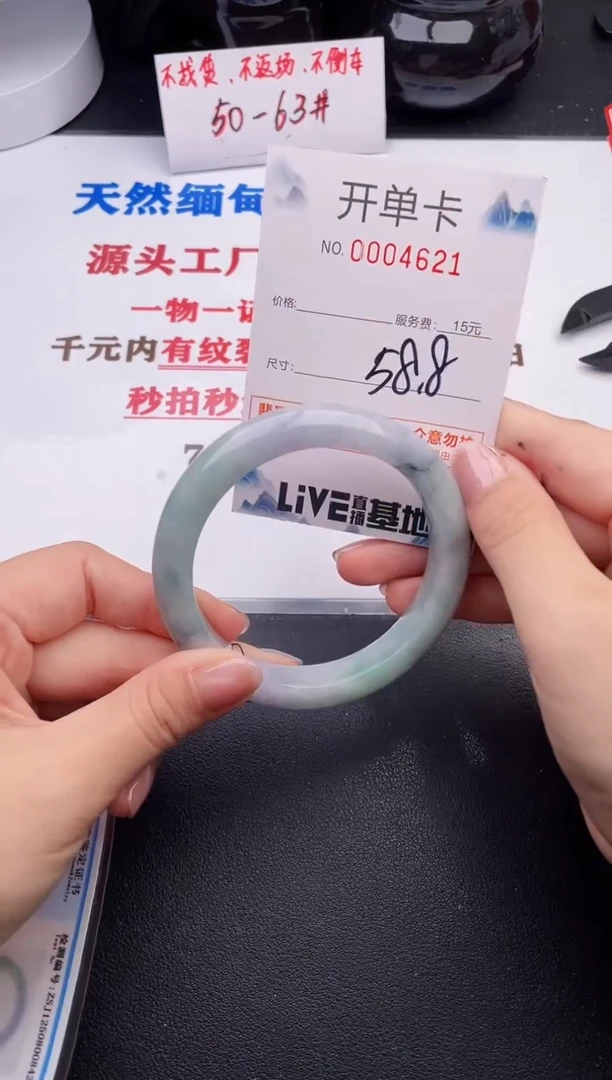 未镶嵌手镯翡翠21