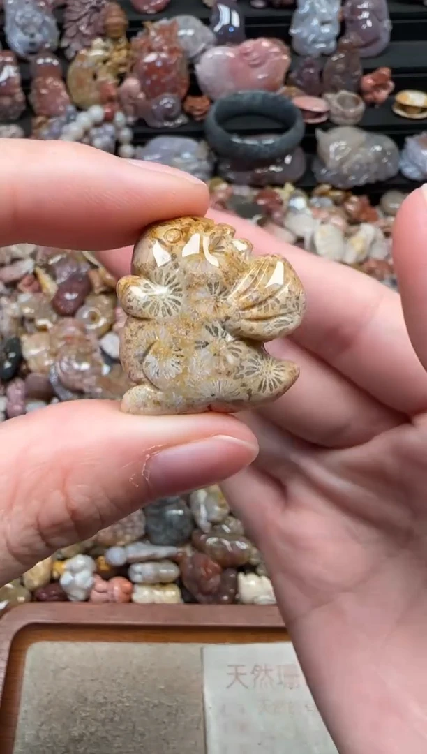 颈饰未镶嵌硅化珊瑚（珊瑚玉）850