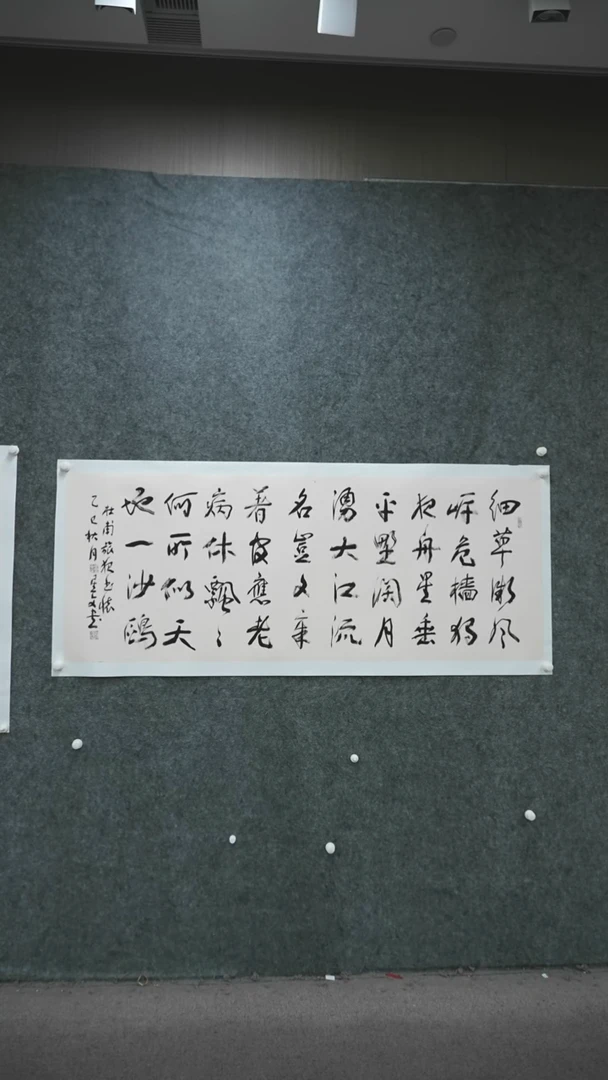 书法书法sxw老师作品