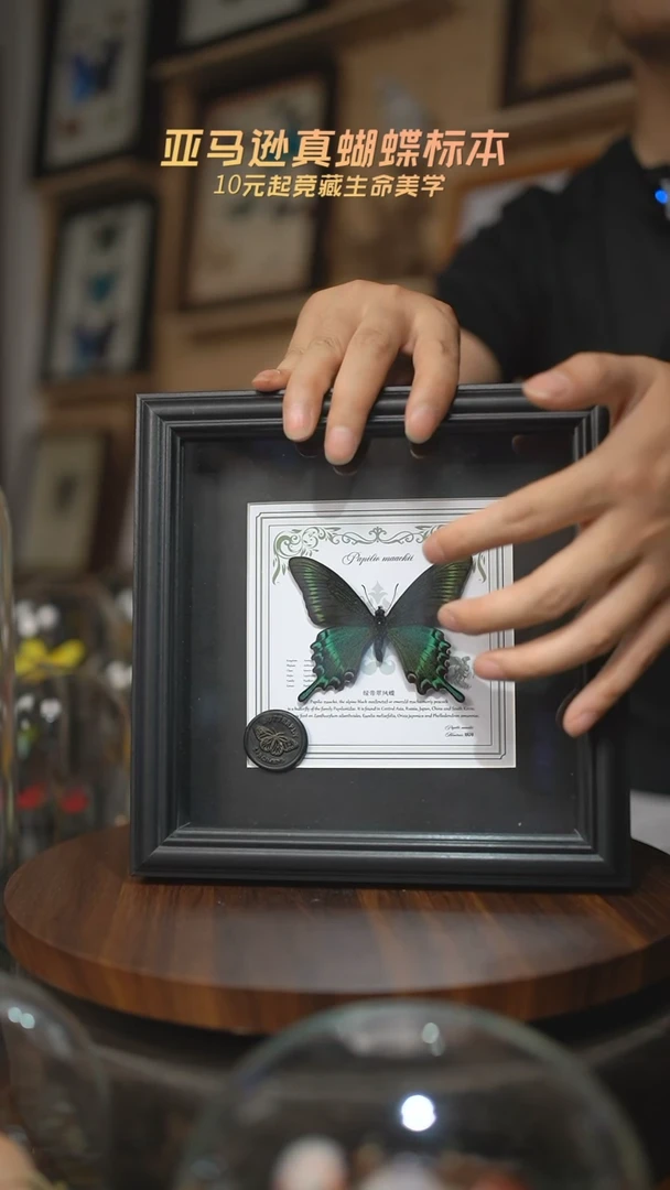 有机玻璃绿带翠凤蝶春型7寸欧式方框