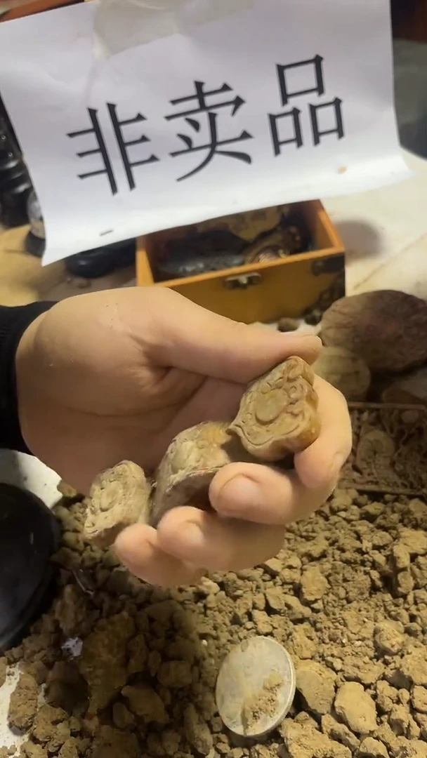 硅化玉奇石未镶嵌2