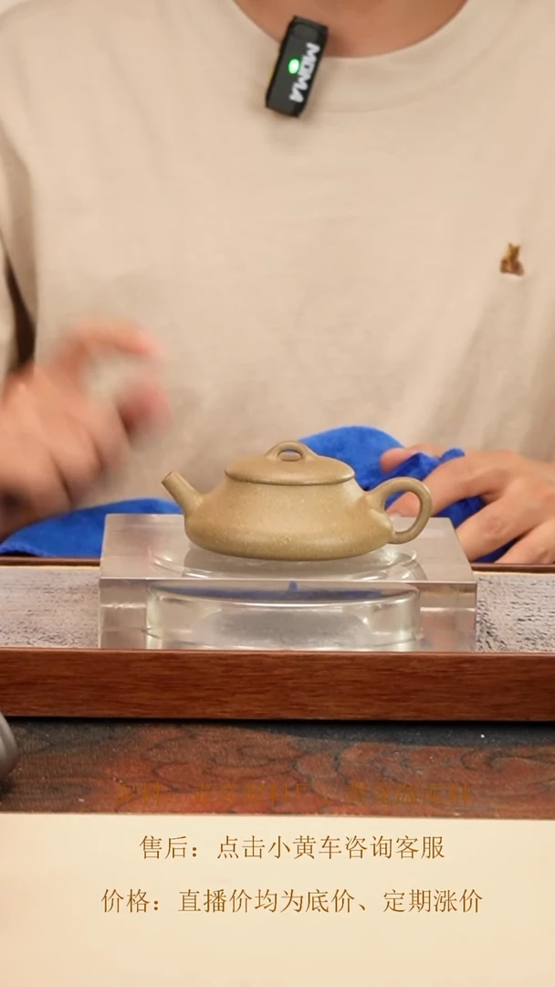 茶壶紫砂 小喜瓢 青段 100cc 钱币孔