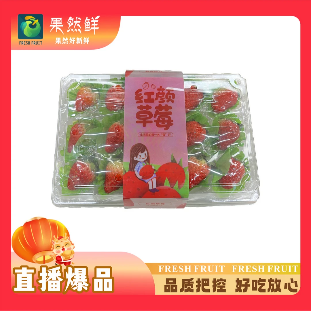 【四盒装】丹东红颜草莓250g水晶盒-4盒(净果两斤)