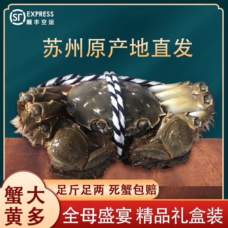 【活蟹】正宗苏州金标精品大闸蟹母蟹2.5两8只-12只冷链包邮礼盒装