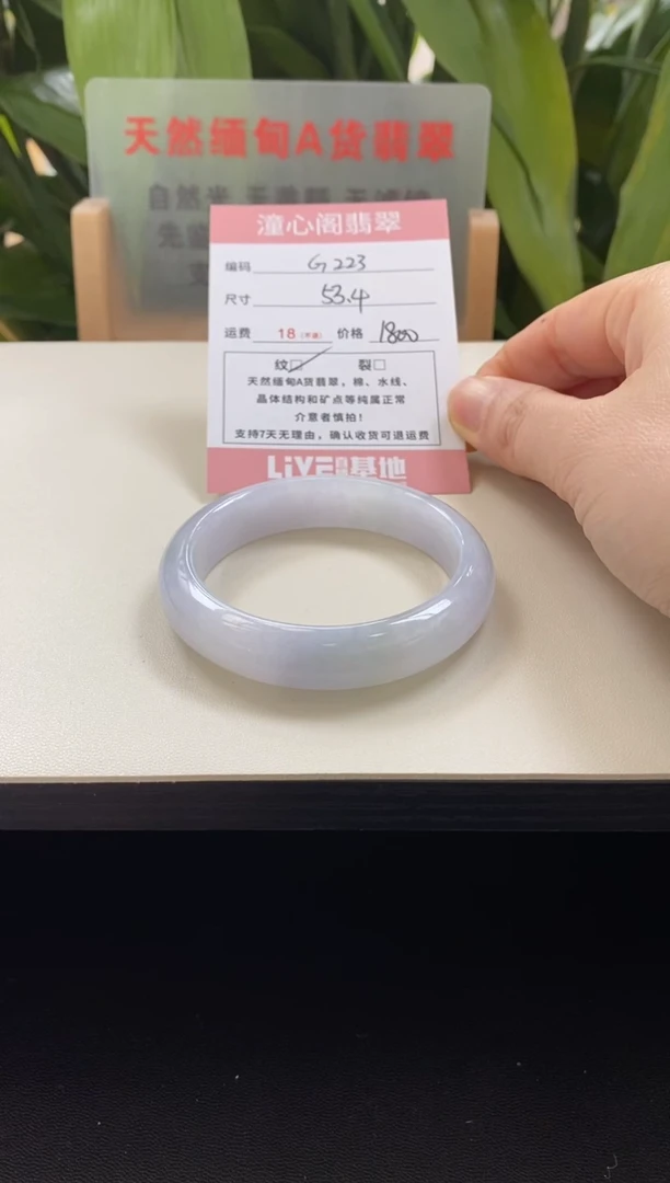 未镶嵌手镯翡翠圈口53.5编码g223