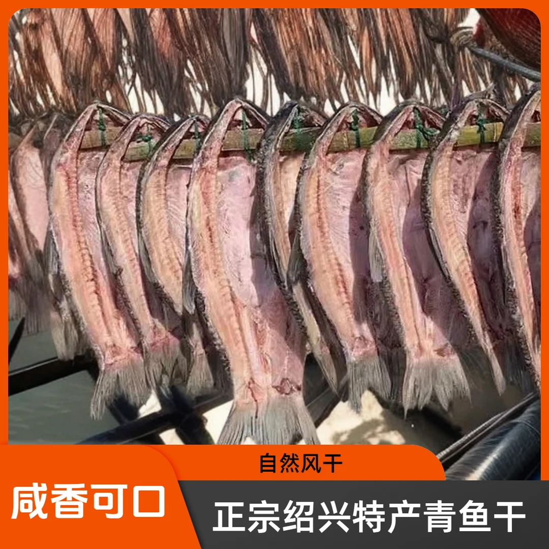 特产大螺蛳青风干特大青鱼干，大咸鱼干腌制青鱼绍兴青鱼干直播
