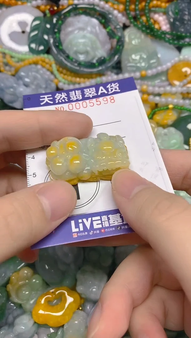 颈饰未镶嵌翡翠0003598