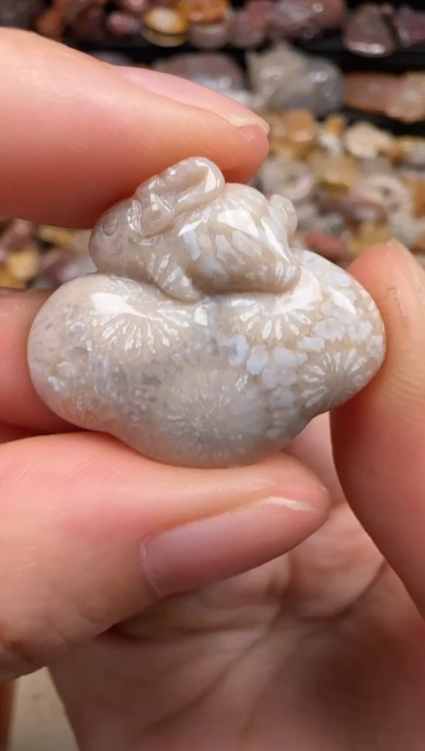 硅化珊瑚（珊瑚玉）未镶嵌颈饰787