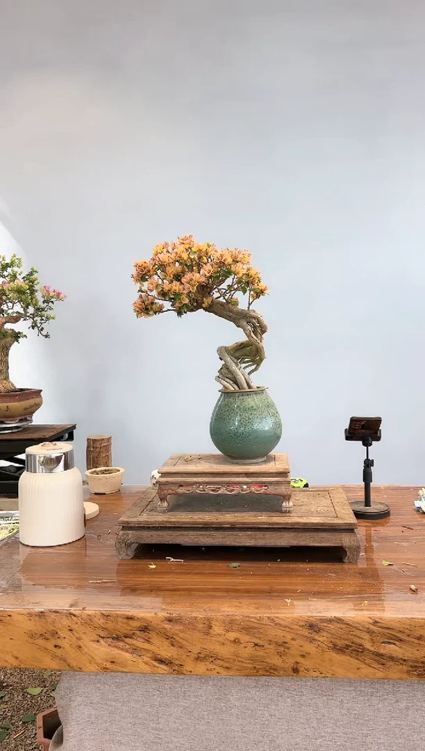 【闪购商品】aa934