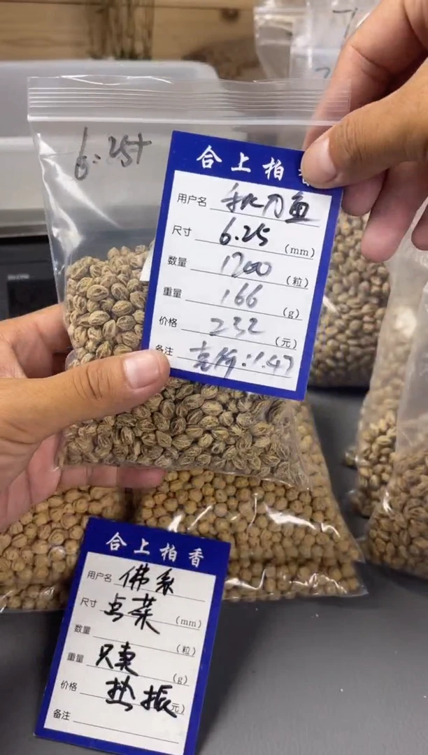 柏香籽/百香籽吊坠秋***. 合上柏香热振散籽秋刀魚..