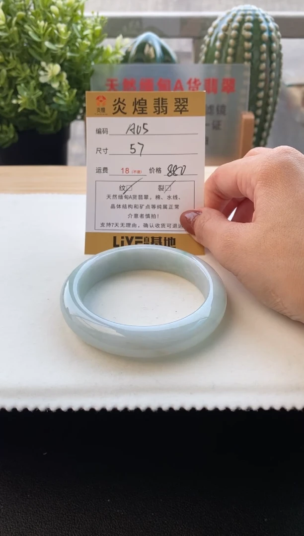 未镶嵌手镯翡翠56.8圈口 编码A05