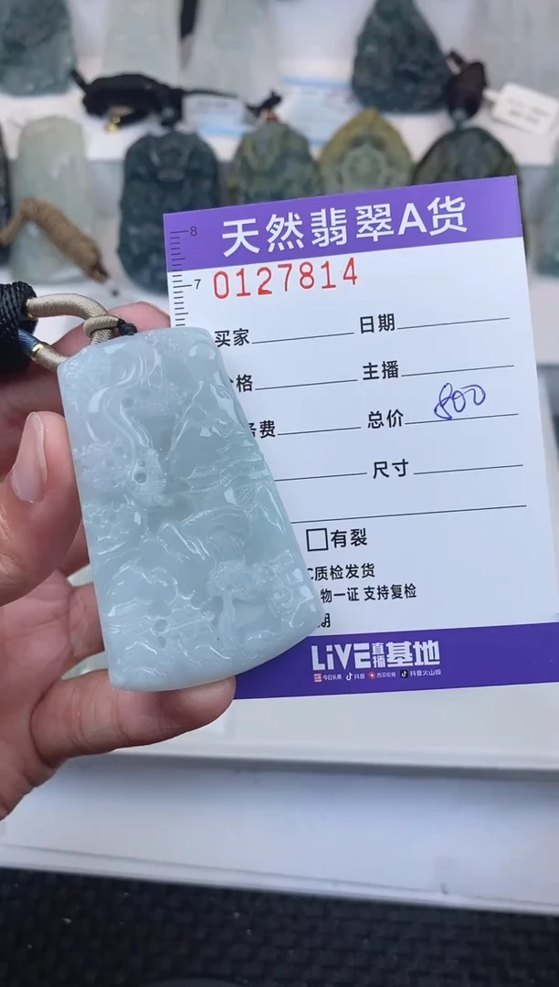 【闪购商品】翡翠颈饰未镶嵌       814