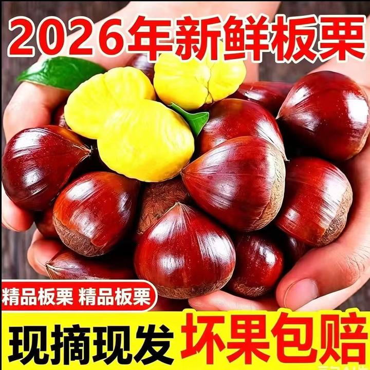 【买3斤送2斤 试吃1斤】高山新鲜板栗粉糯香甜坏果包赔 送开