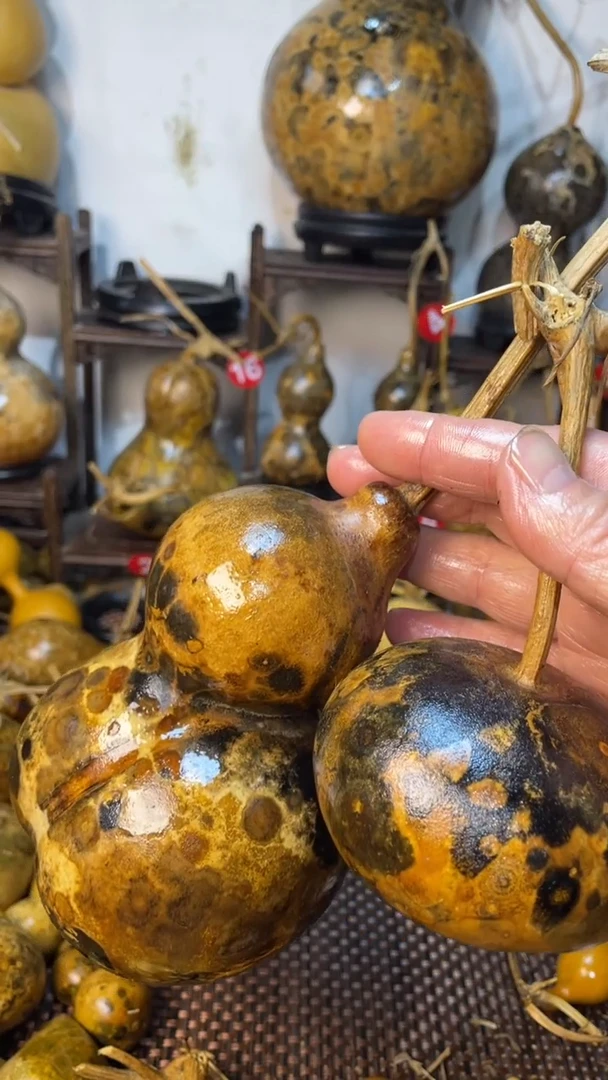 【闪购商品】葫芦葫芦葫芦葫芦葫芦