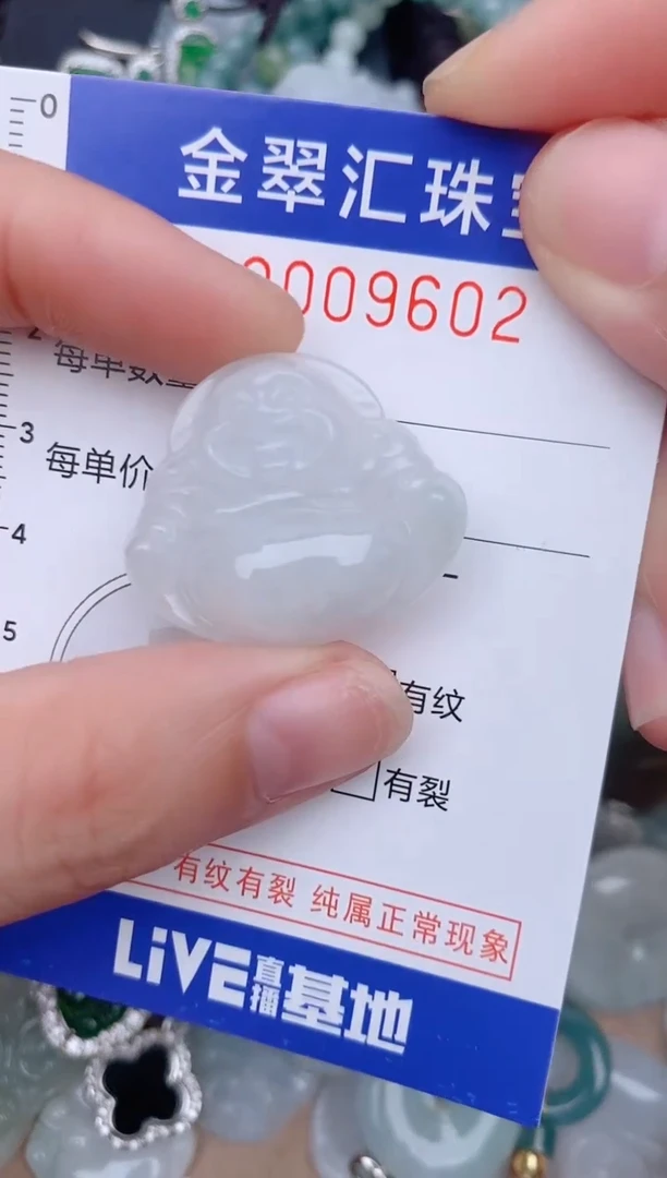 翡翠未镶嵌颈饰9602