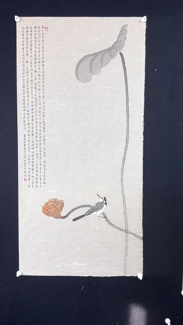 【闪购商品】国画绘画莲蓬心经