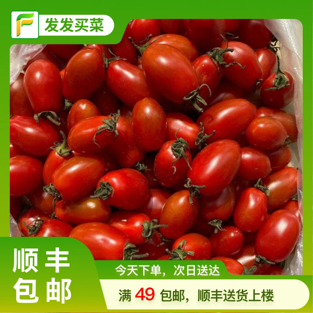 红花生小柿子约0.8-0.9斤/盒（小番茄）新鲜北京市