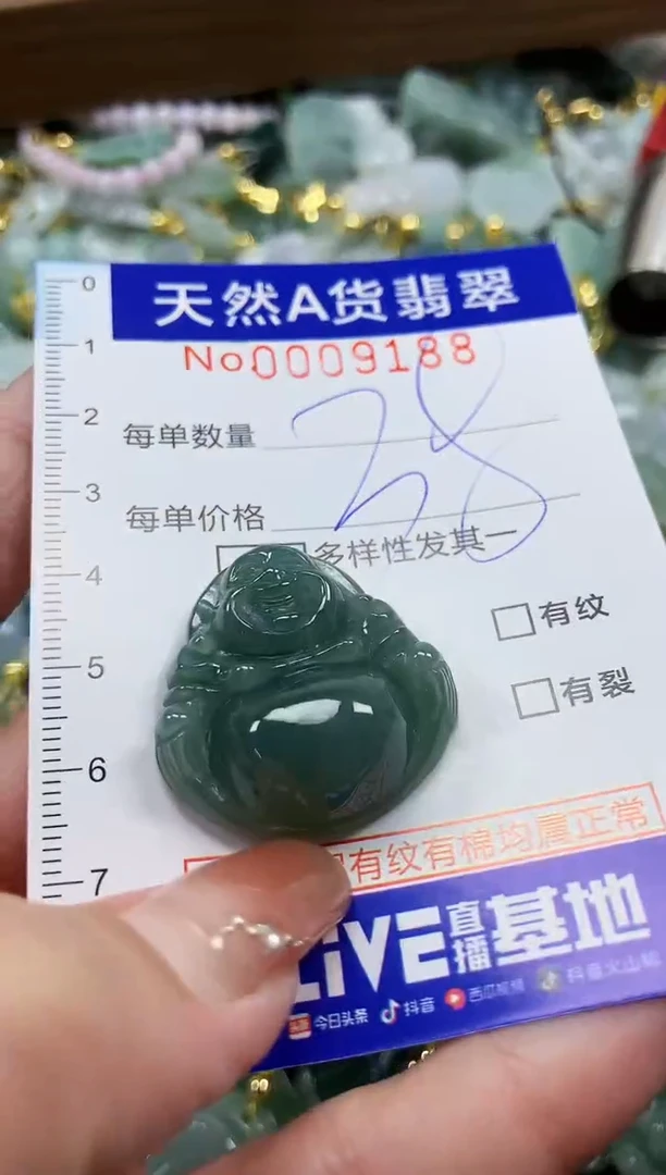 颈饰未镶嵌翡翠天然A货翡翠
