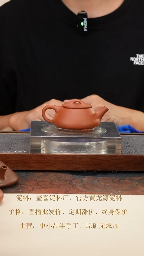 茶壶紫砂 烟斗石瓢 红黄泥 120cc 小内推