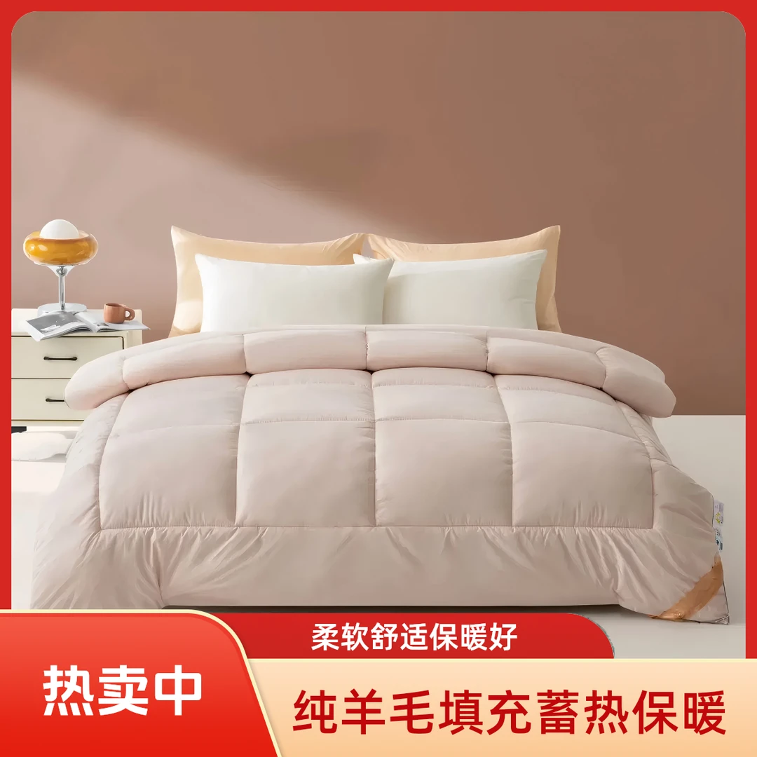 【工厂清仓】100%羊毛被春秋被冬被加厚被子A