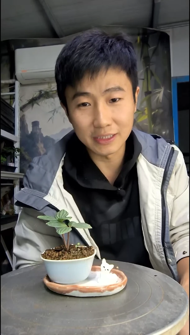 K*哈中青园艺一物一拍418