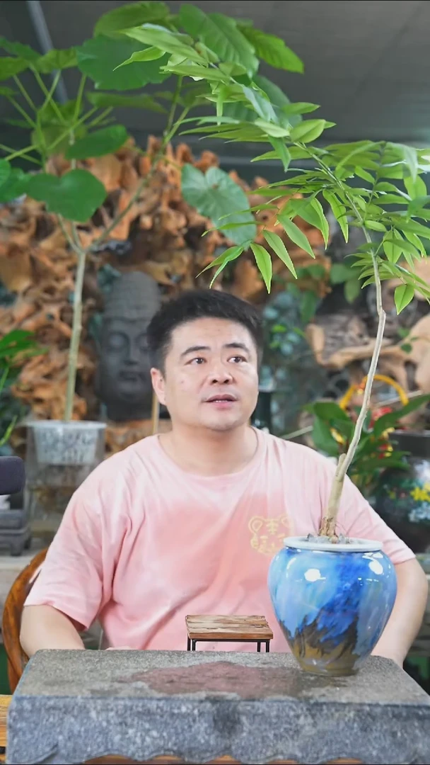 完全开放黄花梨010+