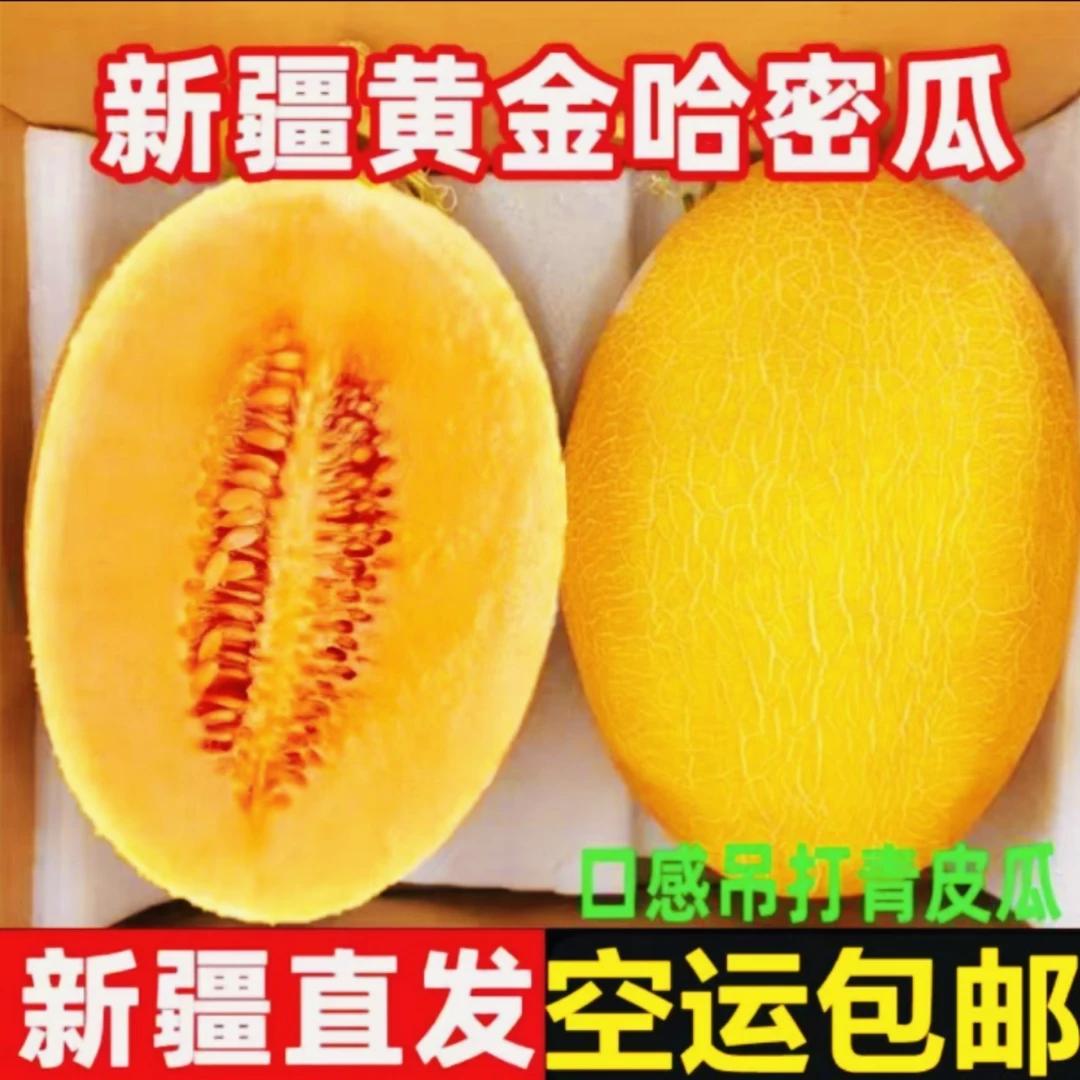 【新疆直发】新疆速运直发金色年华哈密瓜现摘现发脆甜爆汁