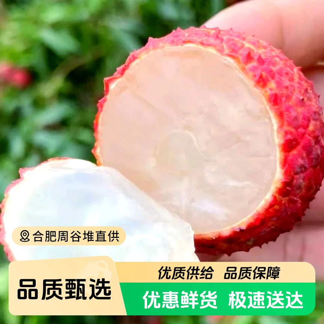 【周谷堆水果】无核荔枝净重2.5斤新鲜无核无渣一口爆汁果肉脆嫩(13)