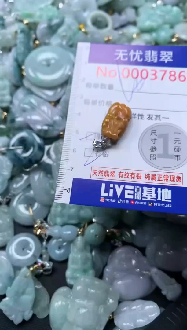 颈饰未镶嵌翡翠3786