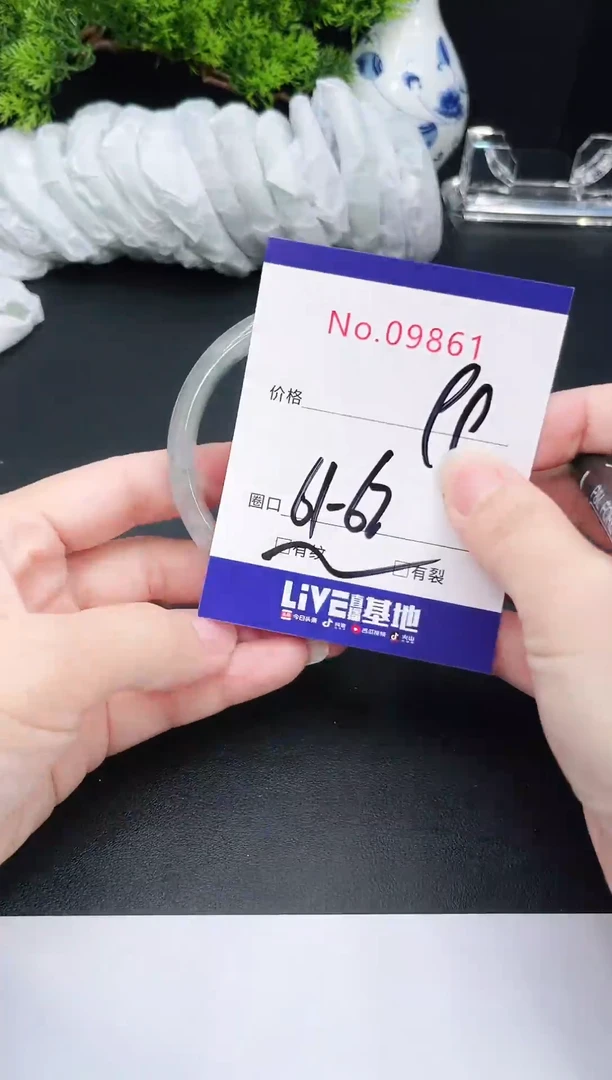 未镶嵌手镯翡翠9861